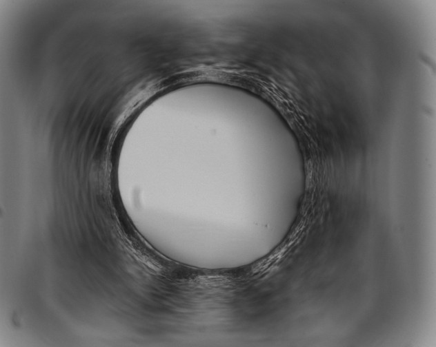 X0000097000150200802291155