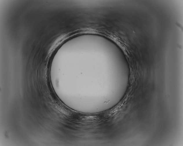 X0000097000151200802291155