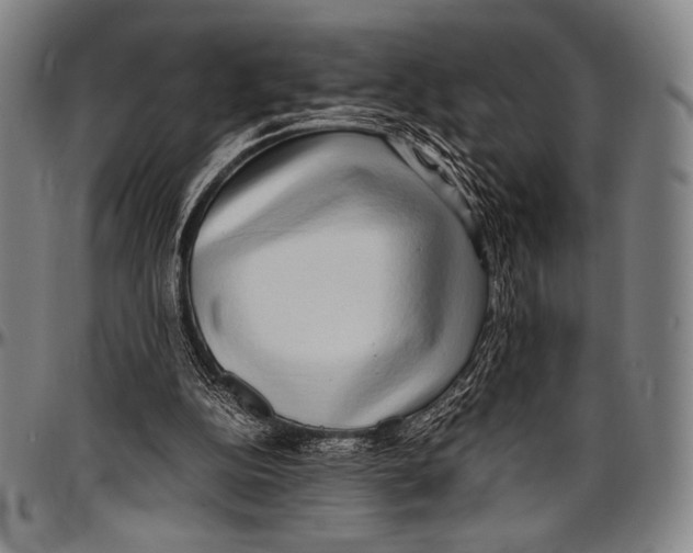 X0000097000152200802291155