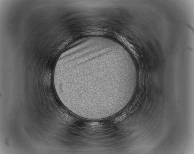 X0000097000153200802291155