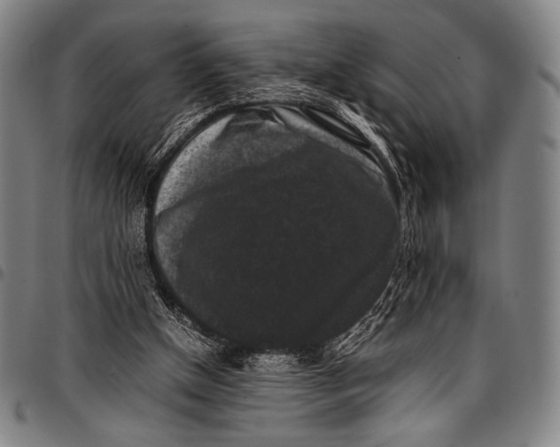 X0000097000154200802291155