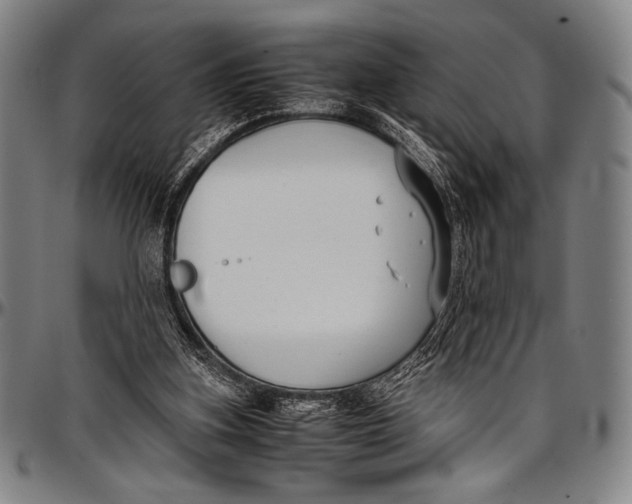 X0000097000155200802291156