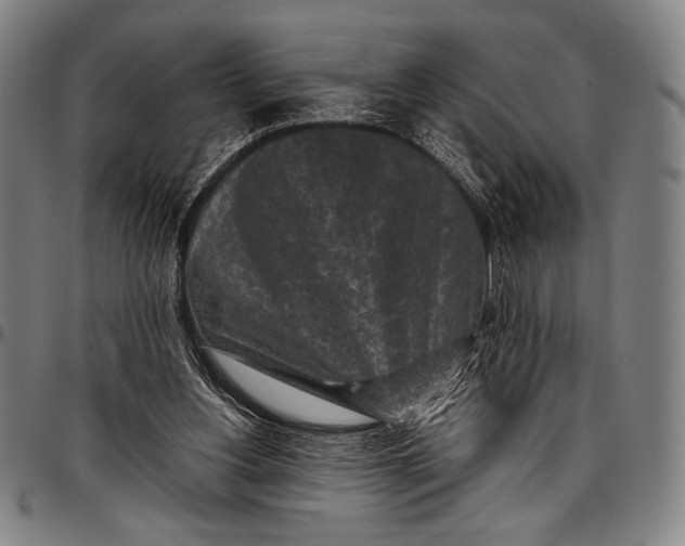 X0000097000156200802291156