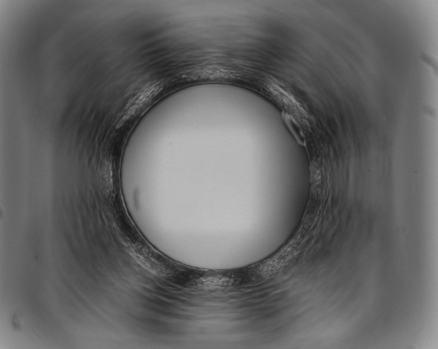 X0000097000158200802291156