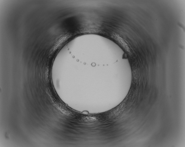 X0000097000159200802291156