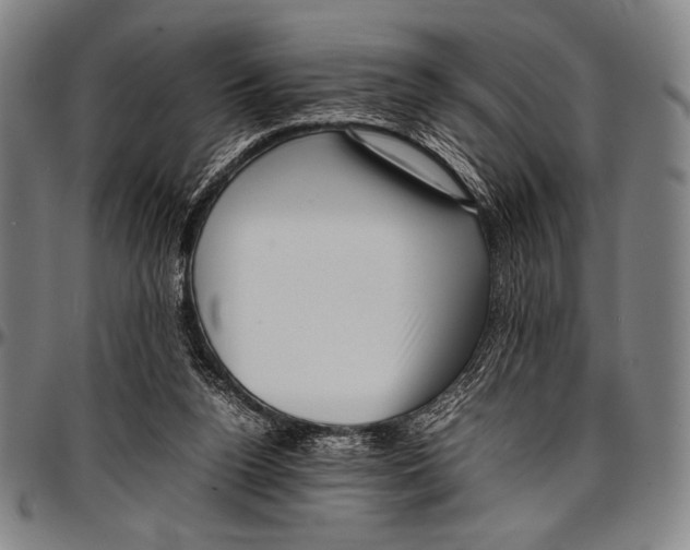 X0000097000160200802291156