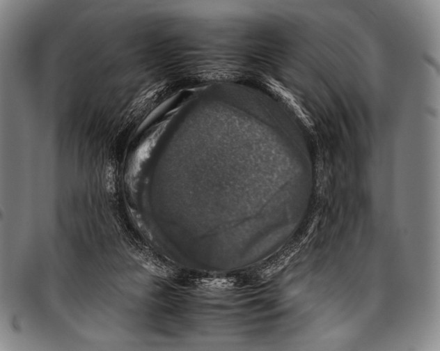 X0000097000161200802291156