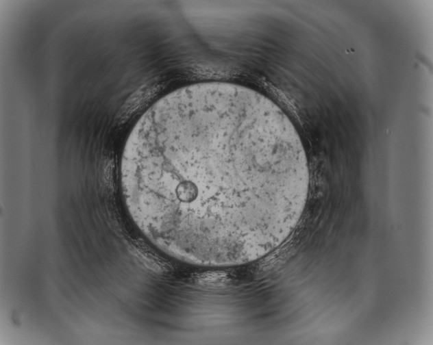 X0000097000162200802291156