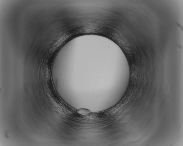 X0000097000164200802291156