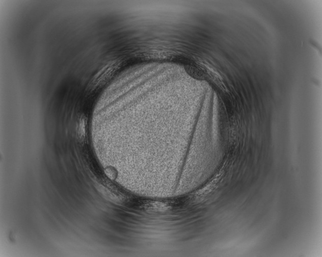 X0000097000166200802291156