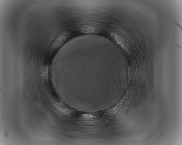 X0000097000167200802291156