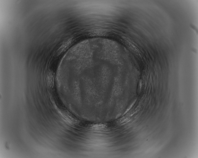 X0000097000168200802291156