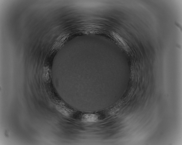 X0000097000169200802291156