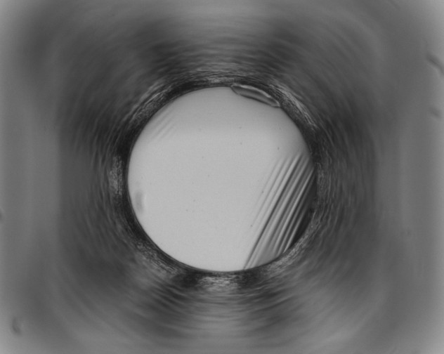 X0000097000170200802291156