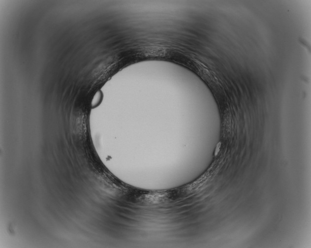 X0000097000172200802291156