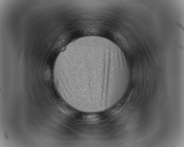 X0000097000173200802291156