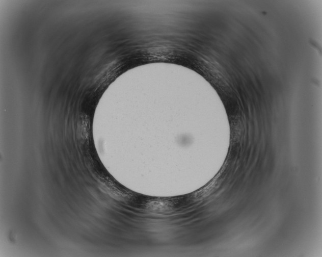 X0000097000174200802291156