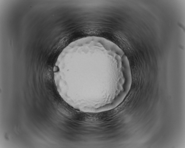 X0000097000175200802291156