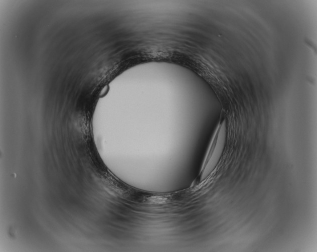 X0000097000176200802291156