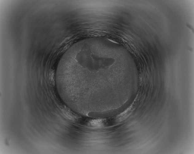 X0000097000178200802291156