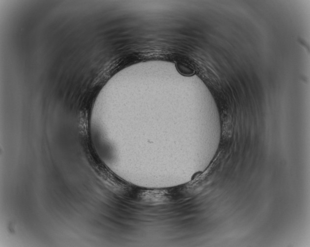 X0000097000179200802291156