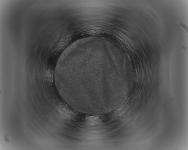 X0000097000180200802291156