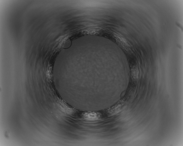 X0000097000181200802291156