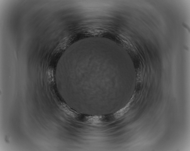 X0000097000182200802291156