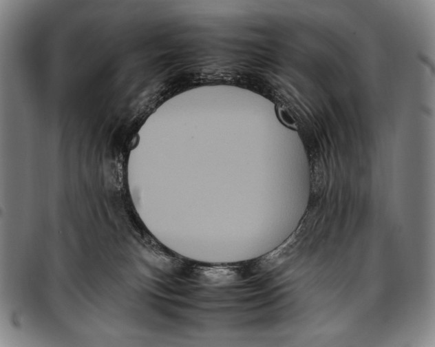 X0000097000183200802291156