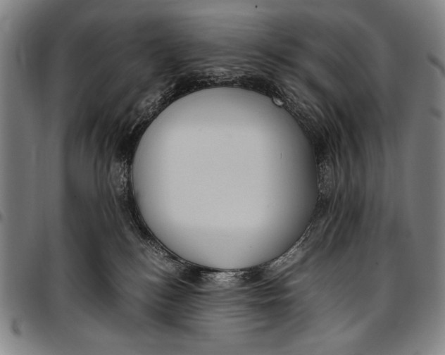 X0000097000184200802291156