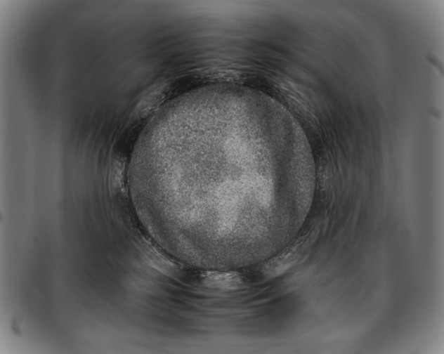 X0000097000185200802291156