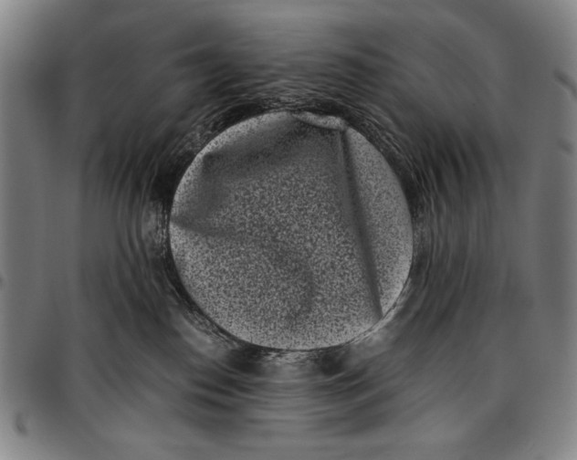 X0000097000186200802291156