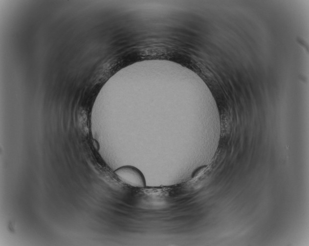 X0000097000187200802291156