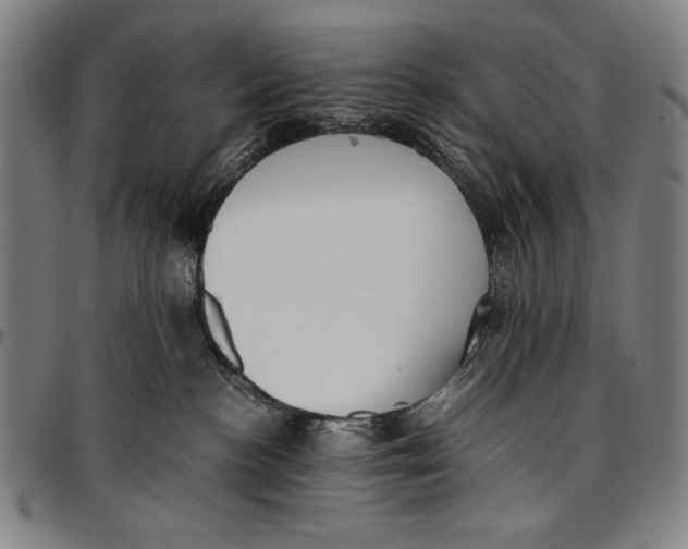 X0000097000188200802291156