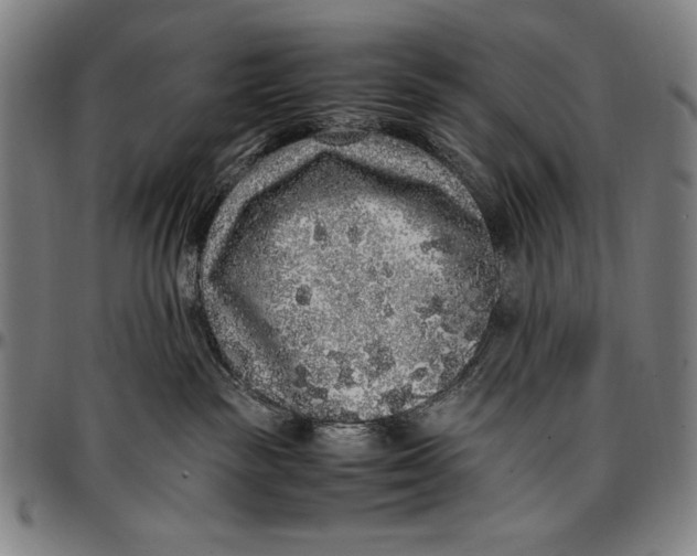 X0000097000189200802291156