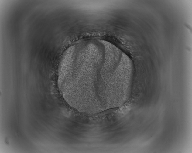 X0000097000192200802291156