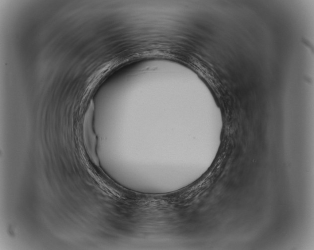 X0000097000193200802291155