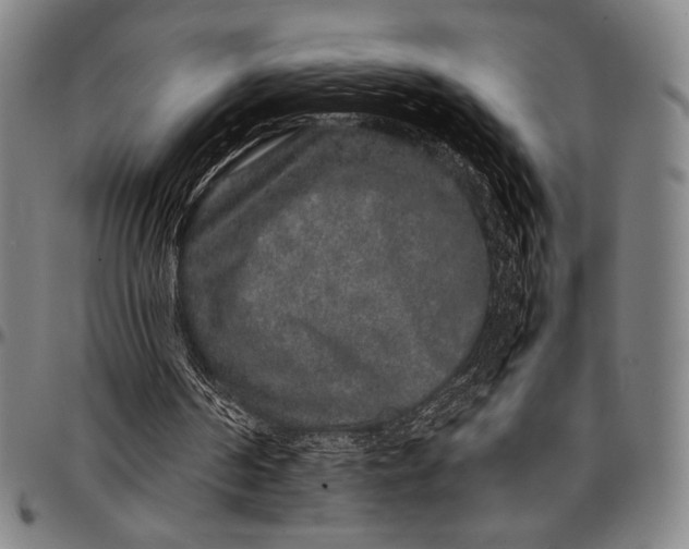 X0000097000194200802291155