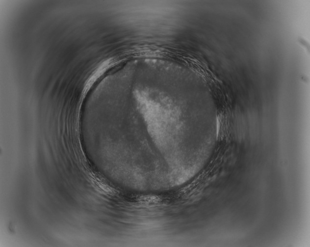 X0000097000195200802291155