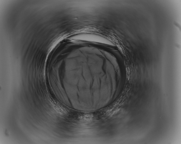 X0000097000196200802291155