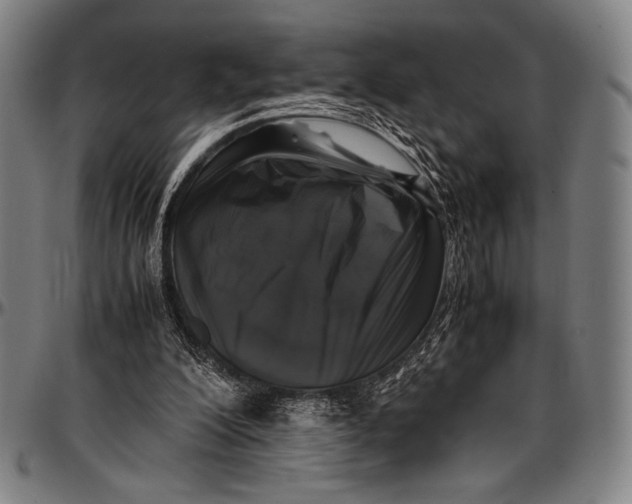 X0000097000200200802291155