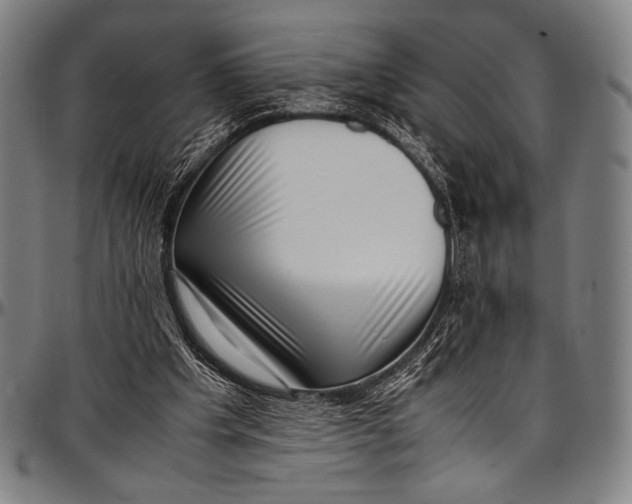 X0000097000201200802291155