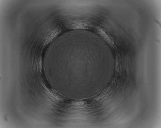 X0000097000202200802291155