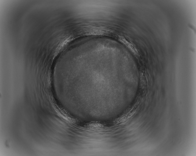 X0000097000203200802291155