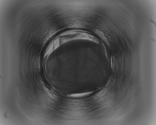 X0000097000204200802291155