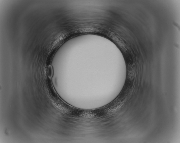 X0000097000207200802291155