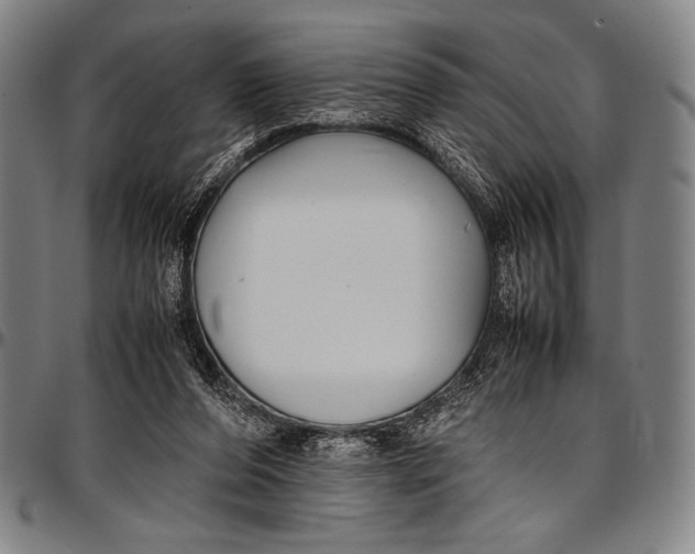 X0000097000208200802291155