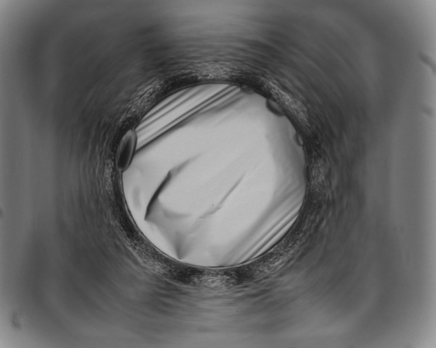 X0000097000209200802291155