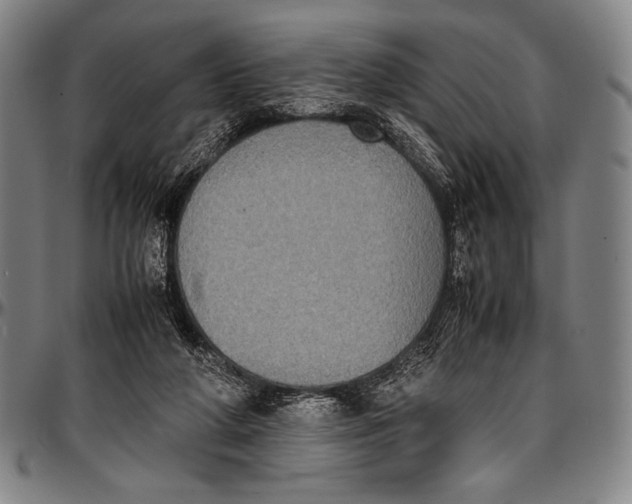 X0000097000210200802291155