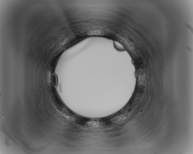 X0000097000211200802291155